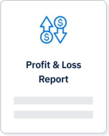 Profit and Loss report